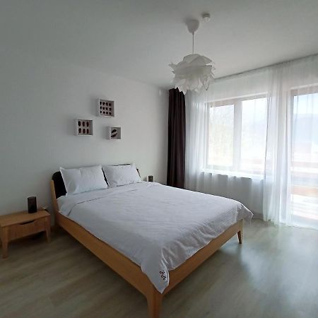 Zander Home Apartment Buşteni エクステリア 写真