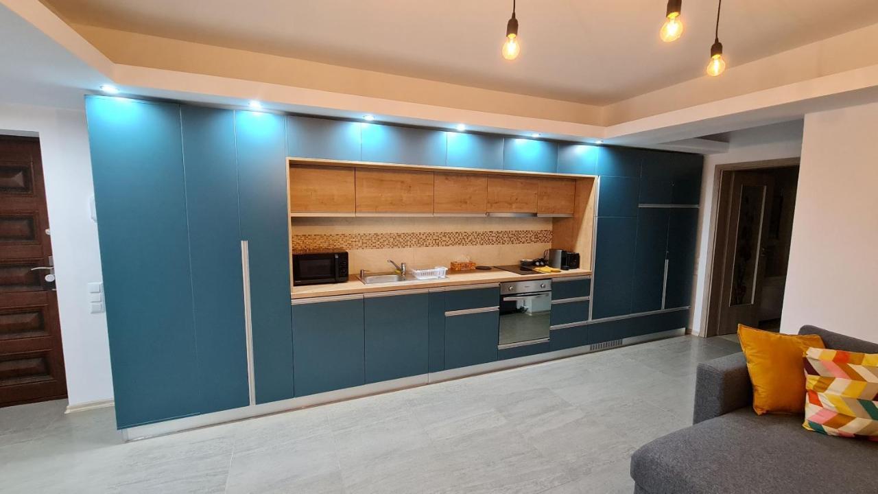 Zander Home Apartment Buşteni エクステリア 写真