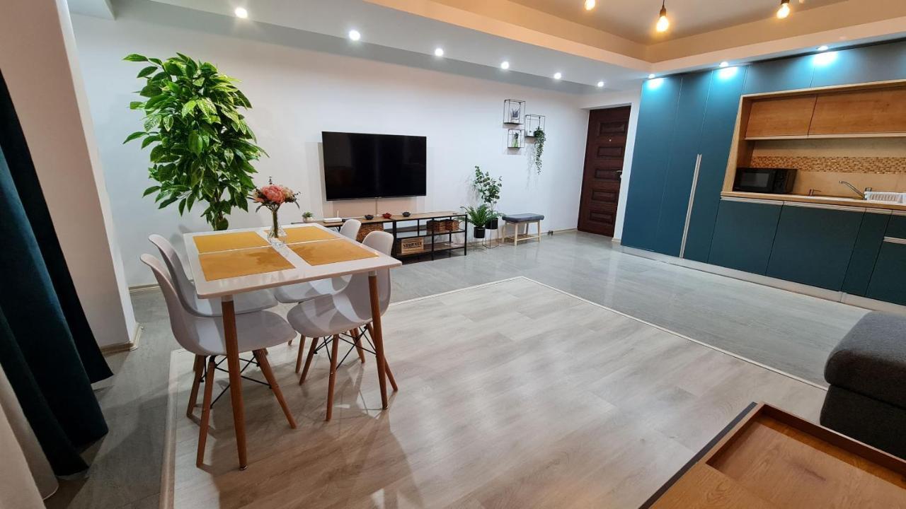 Zander Home Apartment Buşteni エクステリア 写真