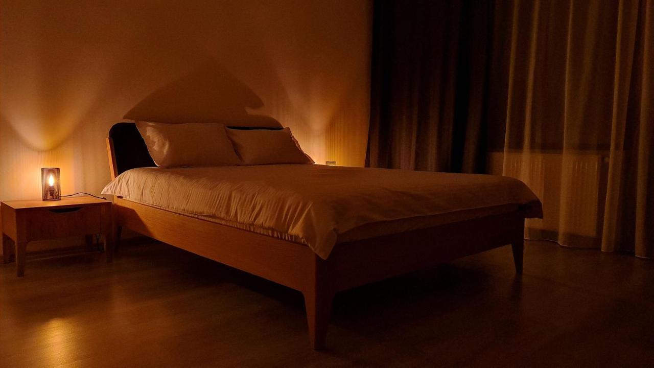Zander Home Apartment Buşteni エクステリア 写真