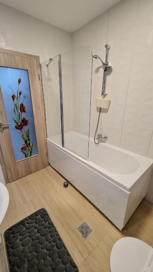 Zander Home Apartment Buşteni エクステリア 写真