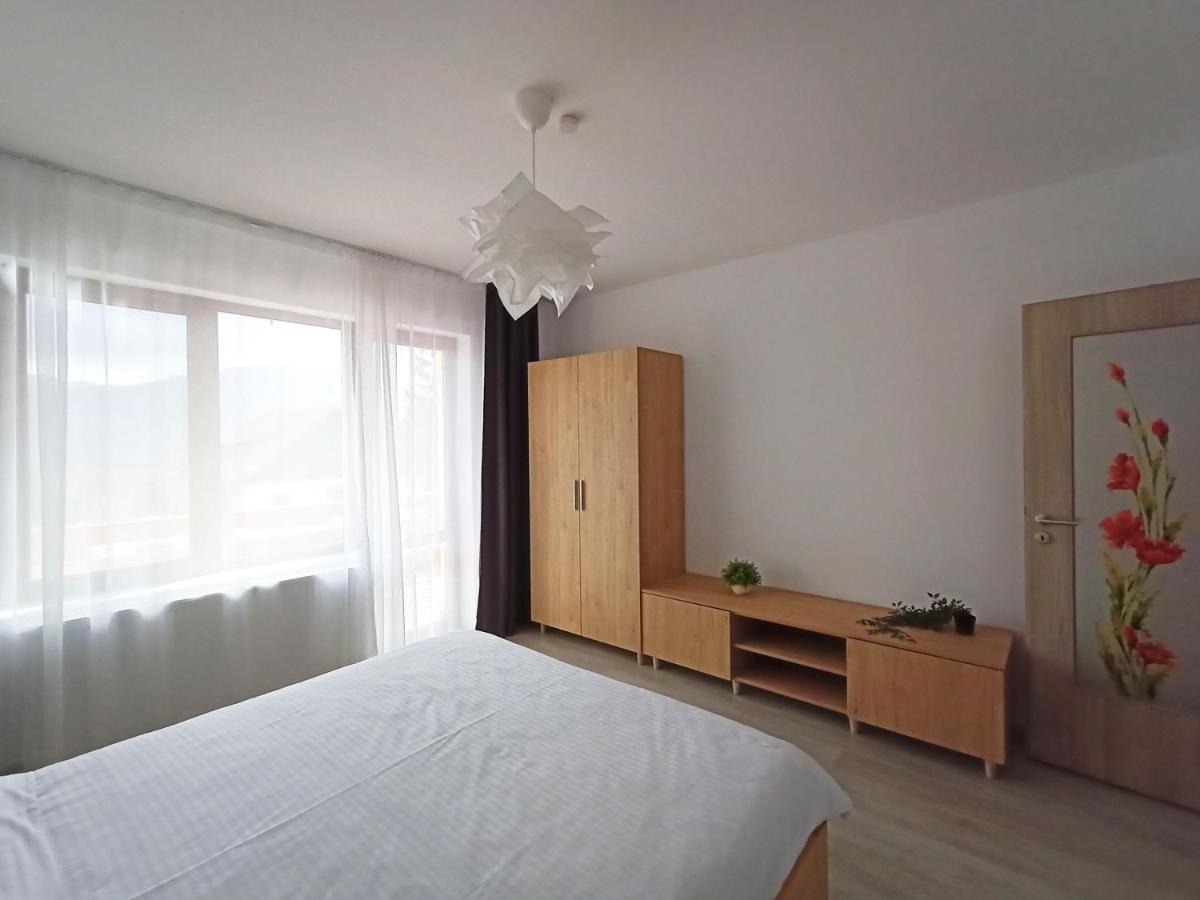 Zander Home Apartment Buşteni エクステリア 写真
