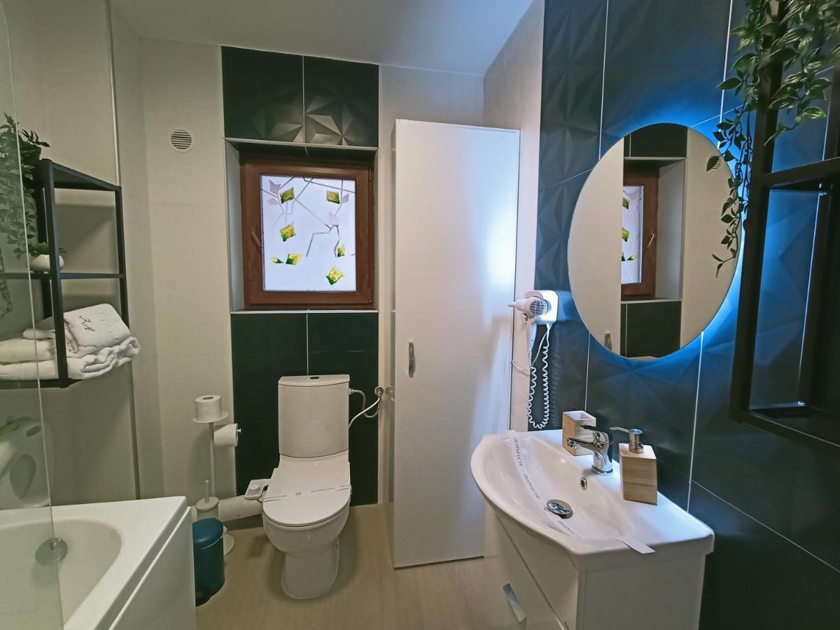 Zander Home Apartment Buşteni エクステリア 写真